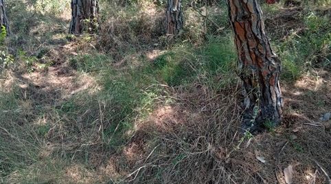 Photo 5 of Land for sale in de Les Basses, 4, Calella, Barcelona