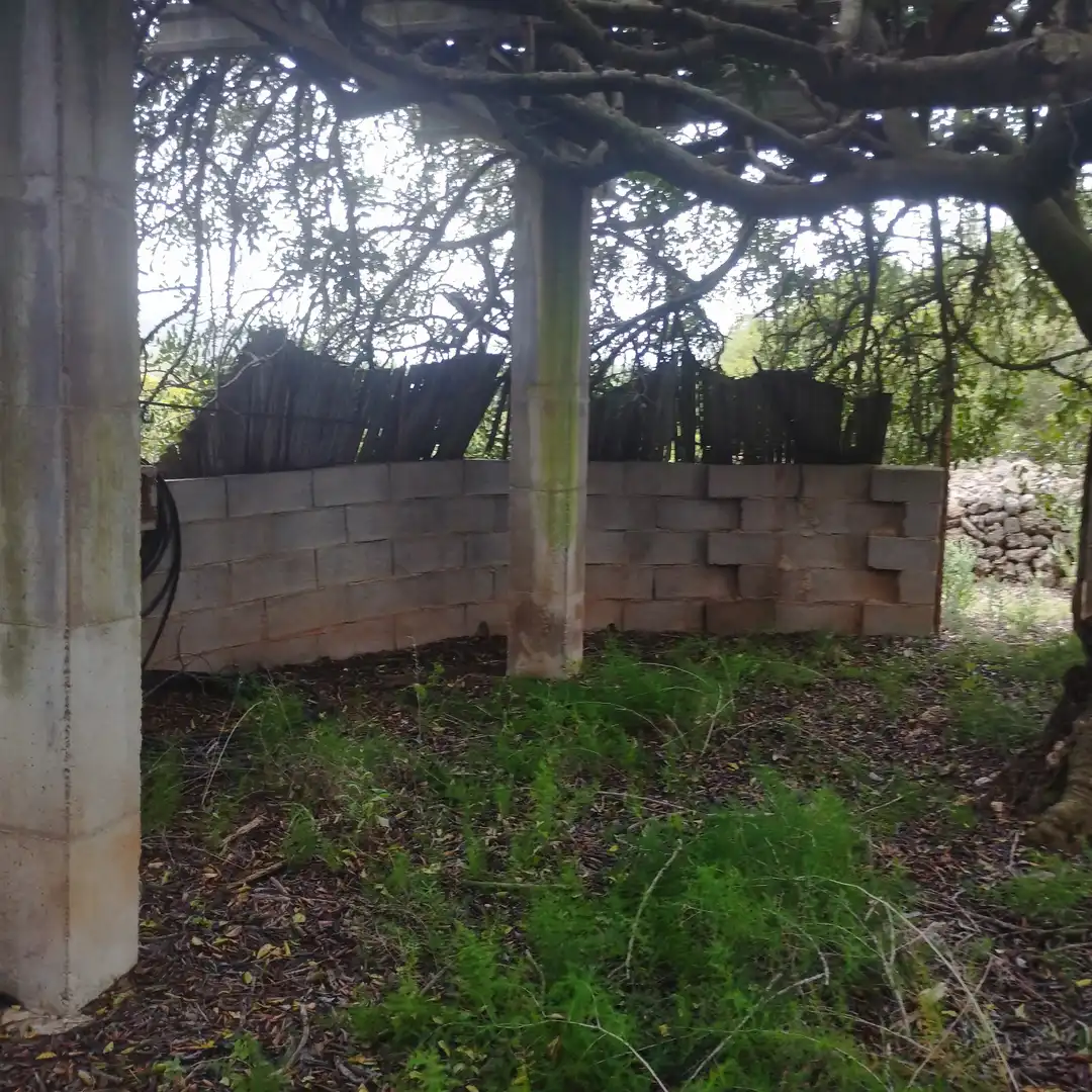 Industrial land for sale in Moncofa