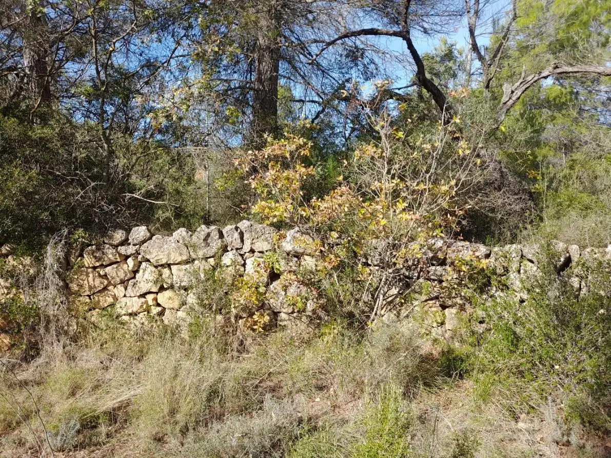 Land for sale in La Palma d'Ebre