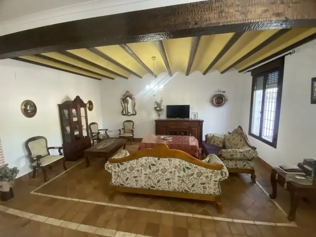 Sala de estar de Casa o chalet en venta en La Rambla con Terraza