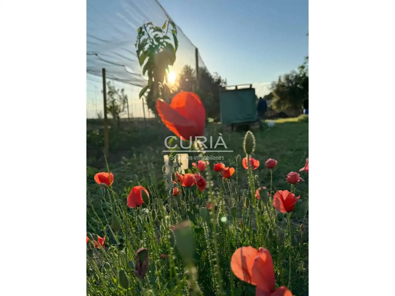Land for sale in Cappont