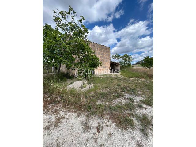 Terreno en Venta en Sineu