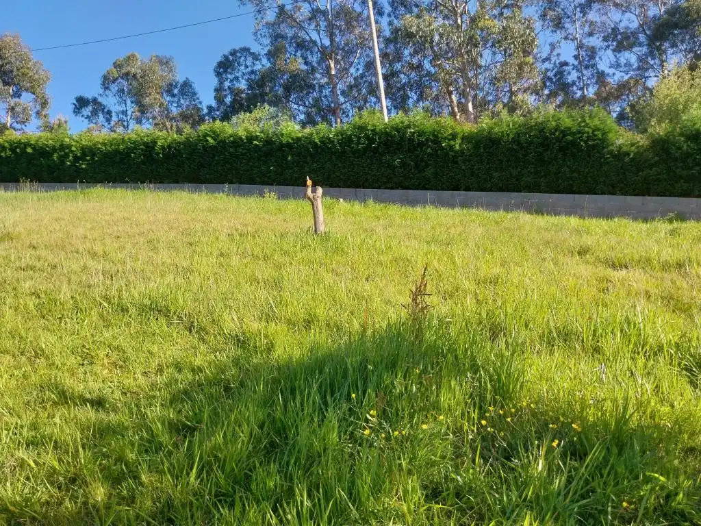 Lands and plots for sale in Pillarno, imagen 12