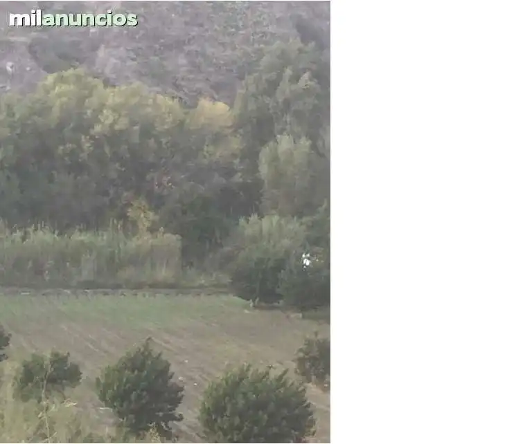 Terreno rústico en venta en Motril  ciudad