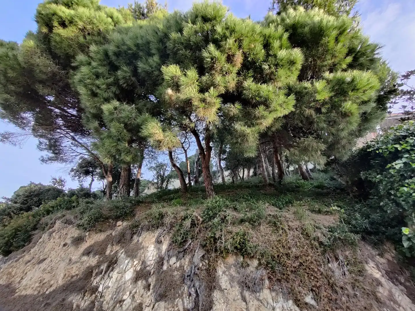 Terreno residenziale in vendita a Santa Cristina - Sant Francesc, imagen 12