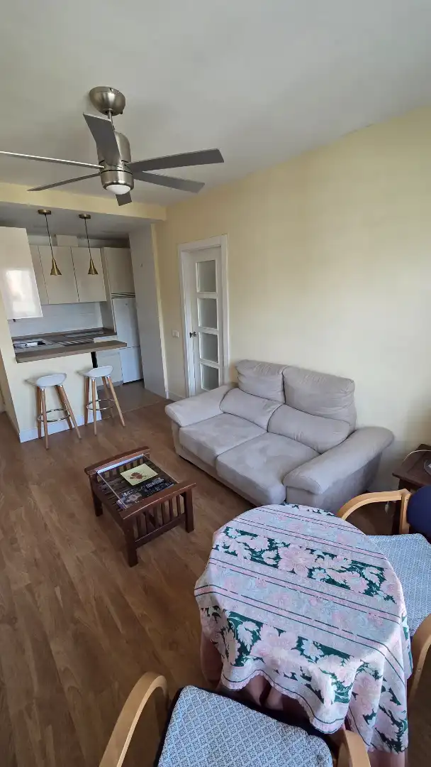 Living room of Apartments for rent in Madrid  with Air Conditioner, Heating and Furnished
