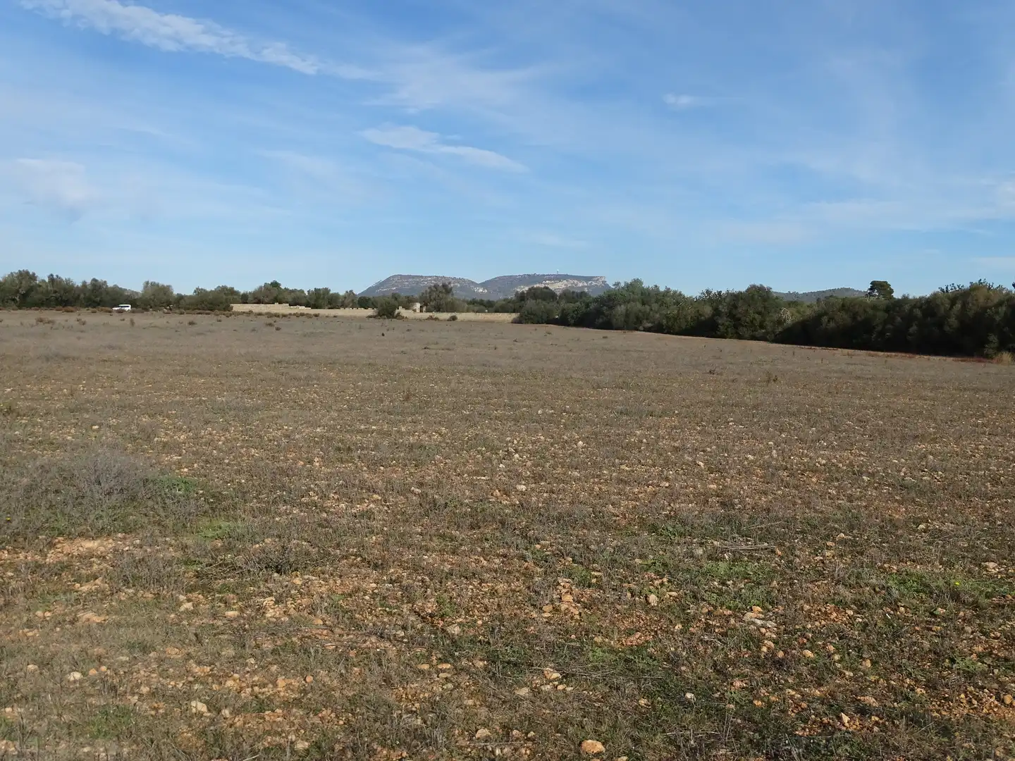 Terreno rustico in vendita a Llucmajor pueblo, imagen 7