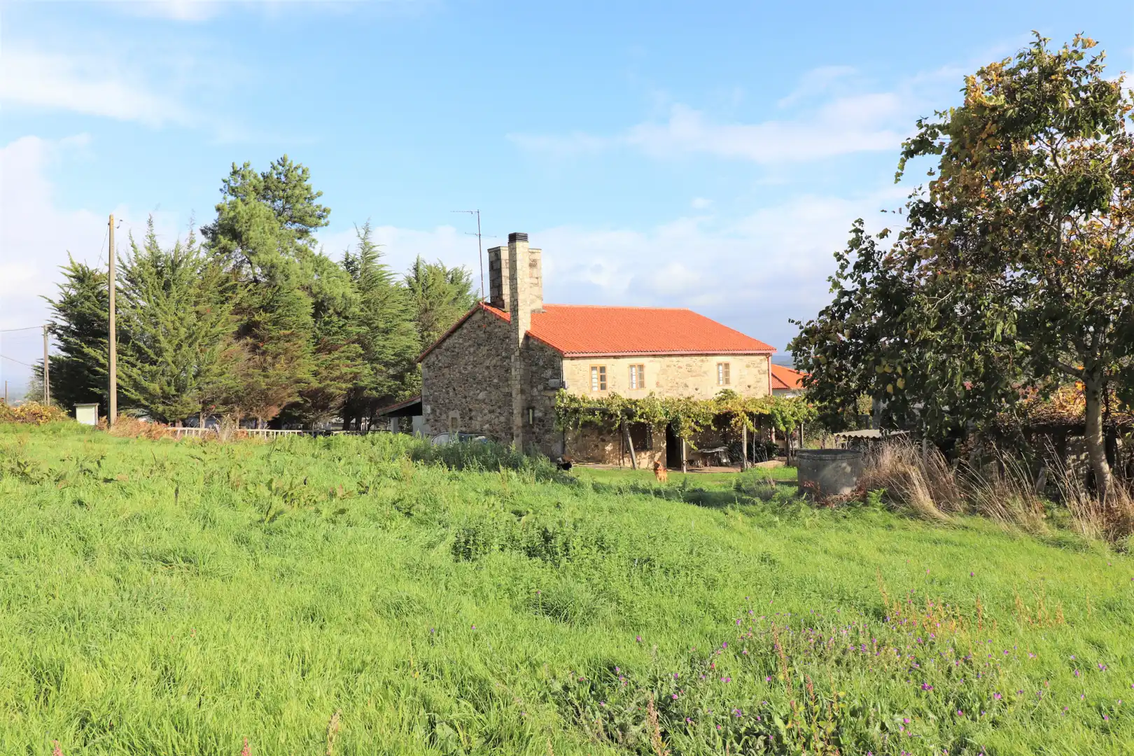 Maison avec jardin à vendre à CP-2017 14, imagen 5