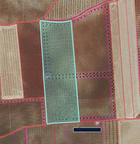 Finca rústica en Venta en Alhambra