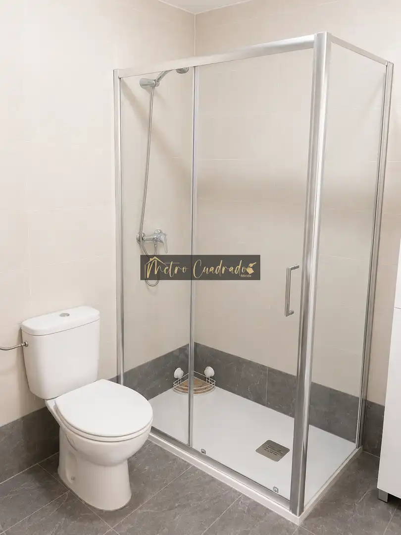 Bathroom of Flat for rent in Mérida  with Air Conditioner, Terrace and Furnished