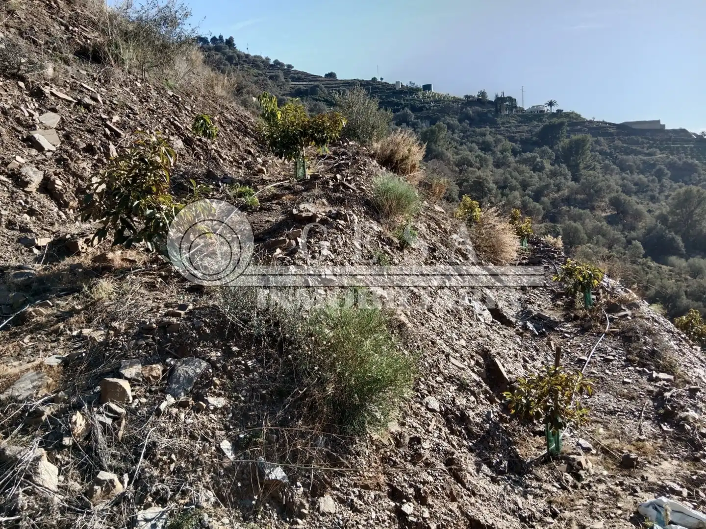 Residential for sale in Vélez-Málaga
