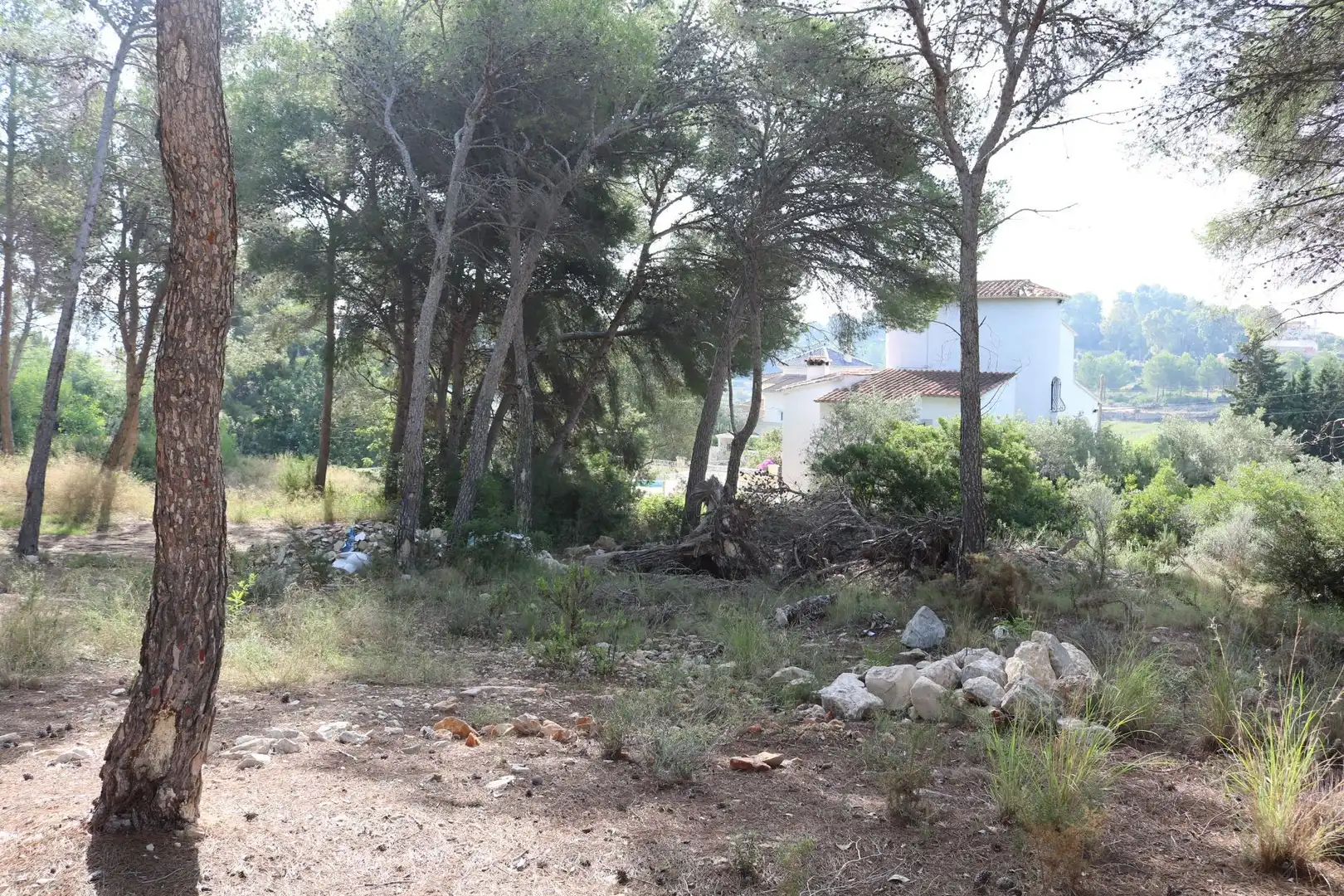 Terreny residencial en venda a Pinar del Advocat - Cometa, imagen 6