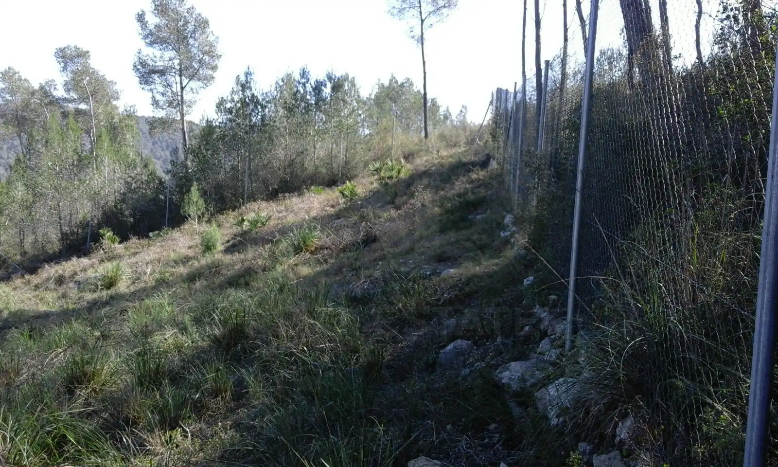 Terreny residencial en venda a Carrer del Senglar, imagen 9