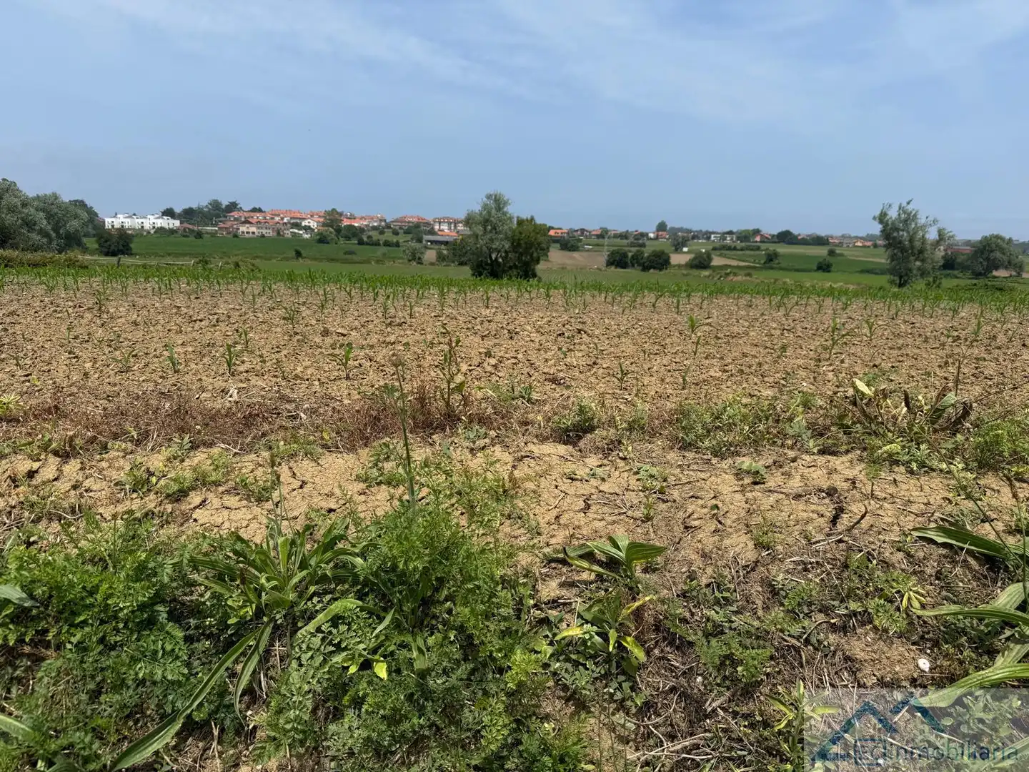 Terrenys i solars en venda a Espadanal