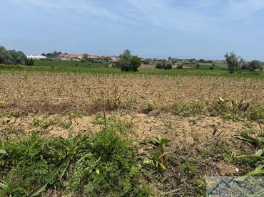 Lands and plots for sale in Espadanal
