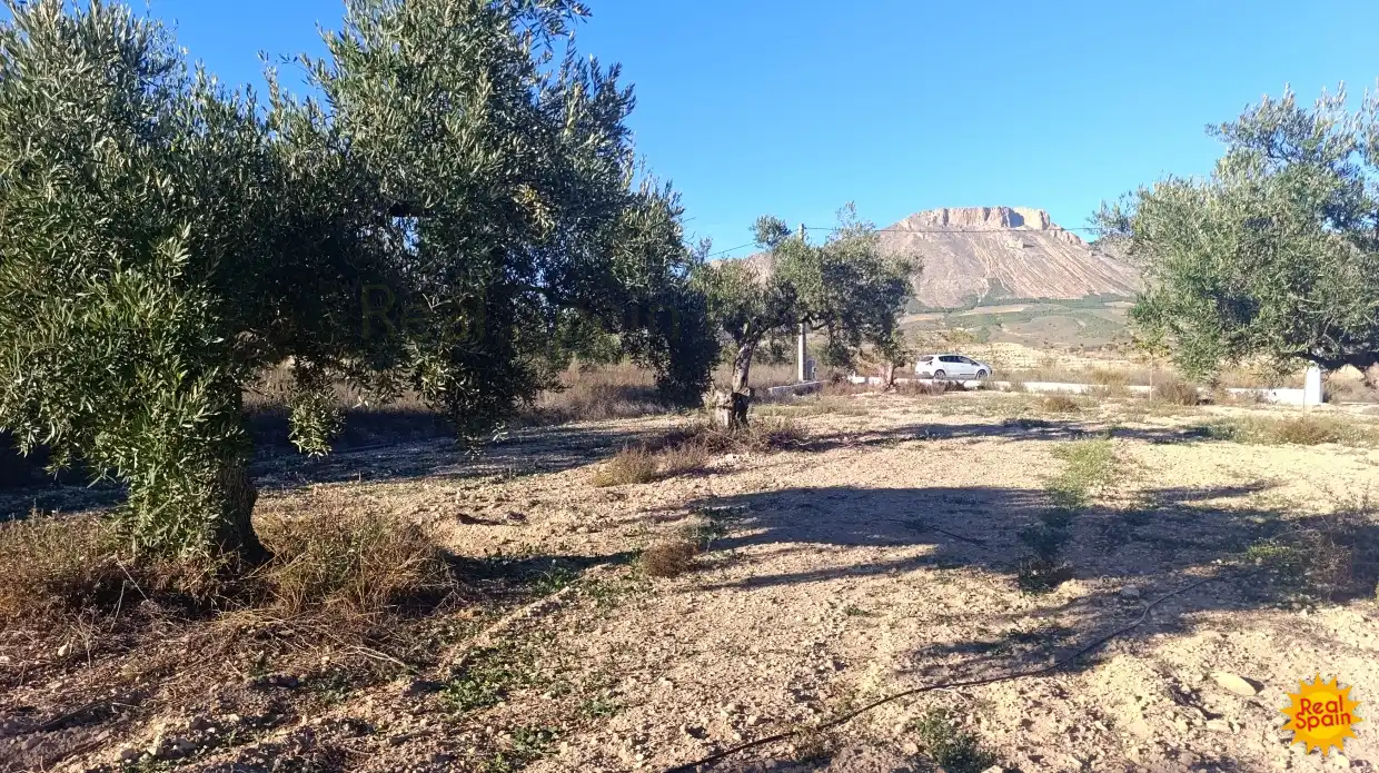 Casa rústica en venda a Vélez-Blanco, imagen 9