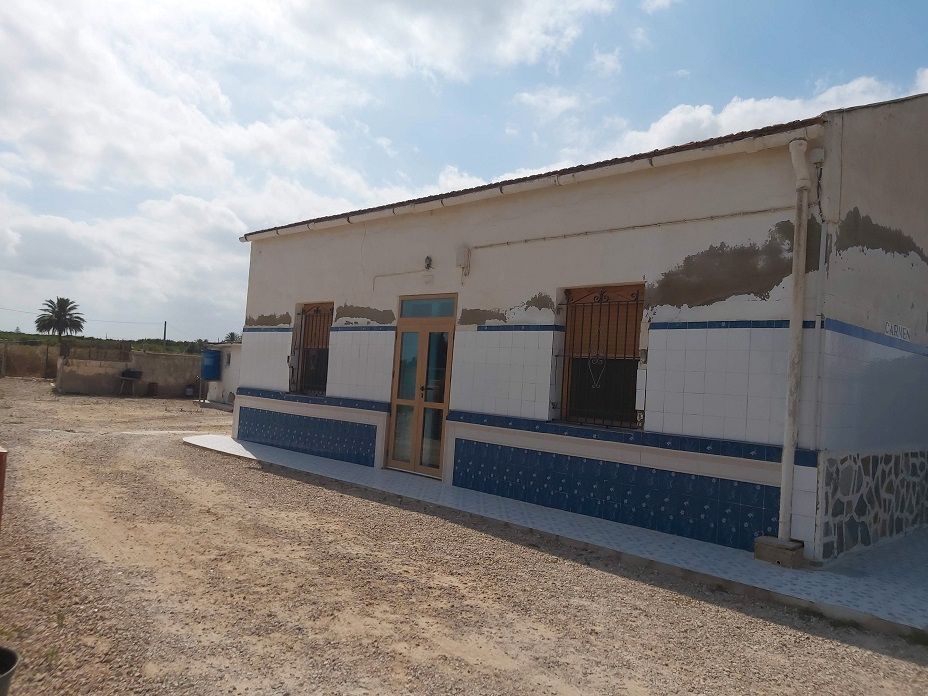 Exterior view of House or chalet for sale in Elche / Elx