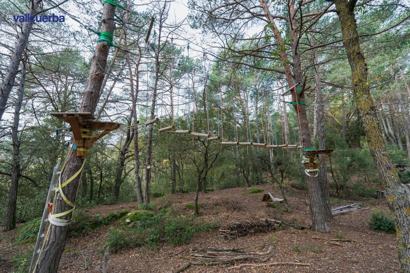 Terreno rústico en venta en Prades, imagen 16