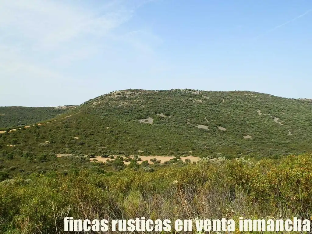 Terreny rústic en venda a Alcolea de Calatrava, imagen 2