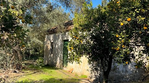 Terreno en venta en Beznar., immagine 3