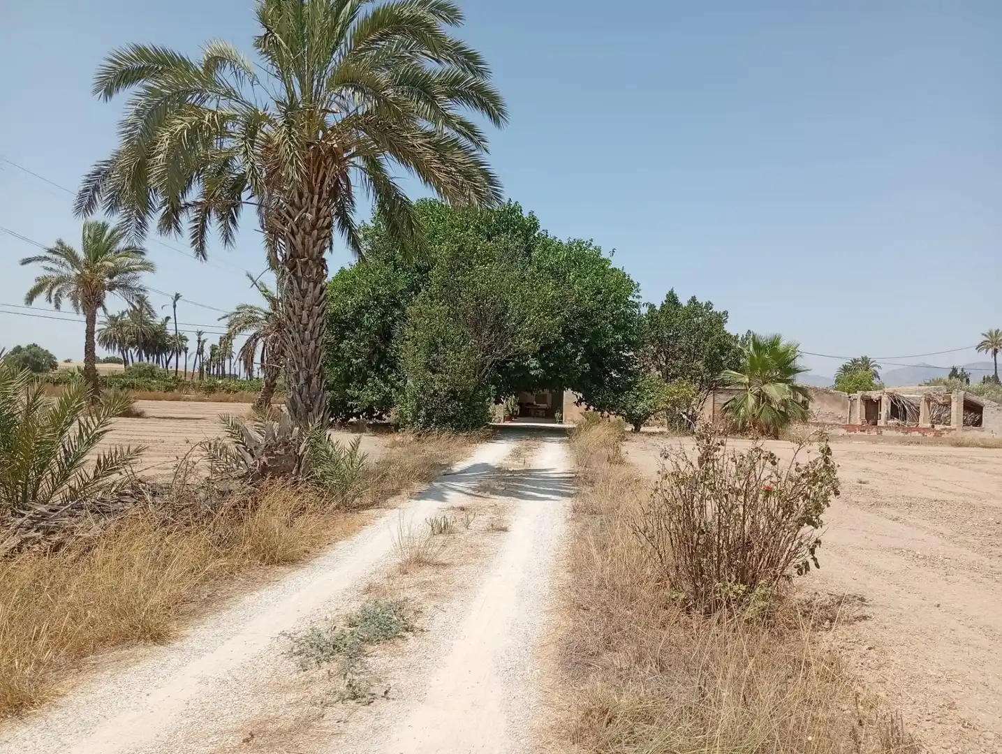 Houses for sale in Puçol