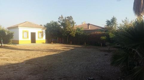 Foto 4 de Casa o xalet en venda a El Higuerón, Córdoba