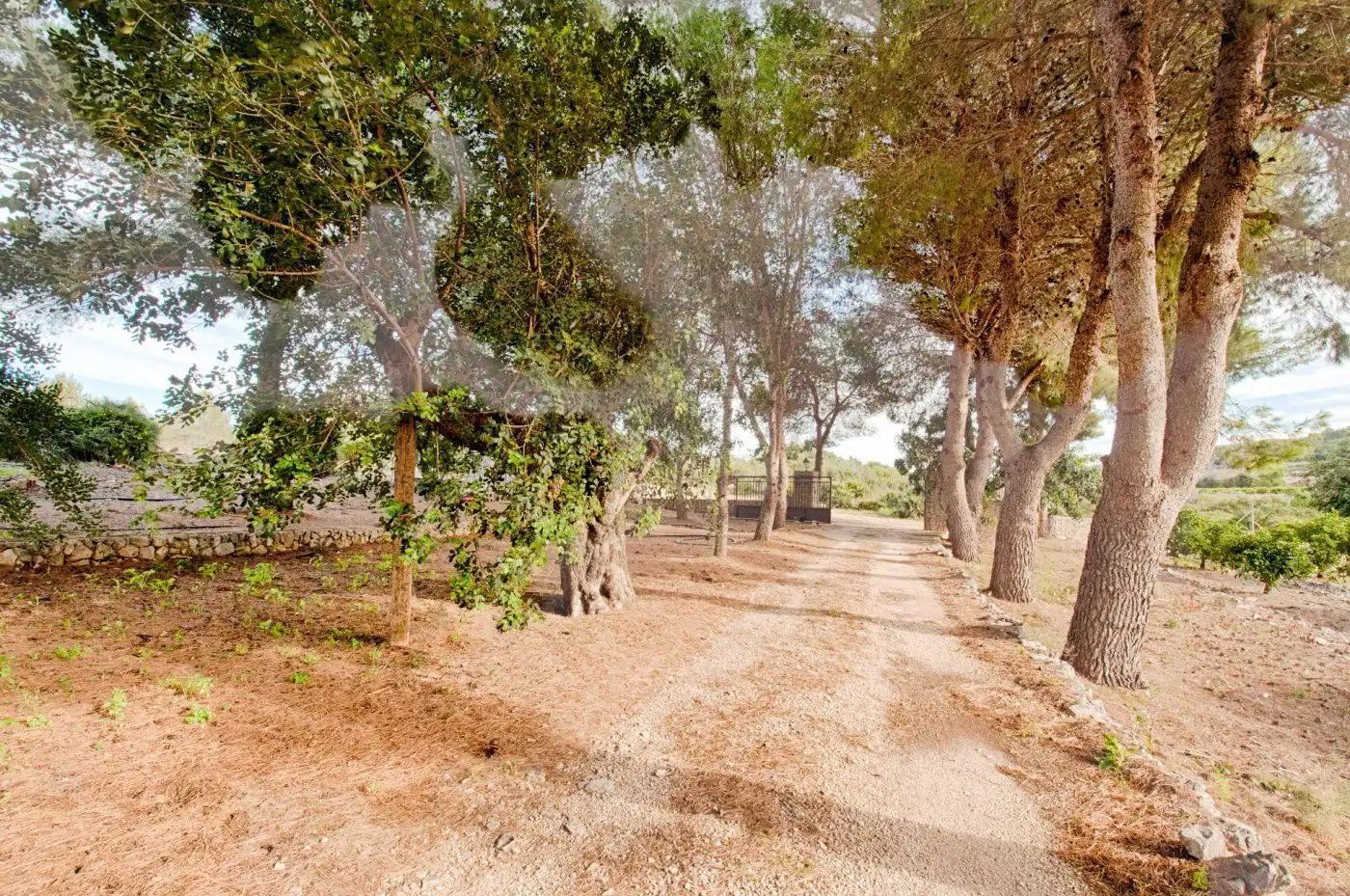 Casa rustica con piscina in vendita a Gata de Gorgos, imagen 14