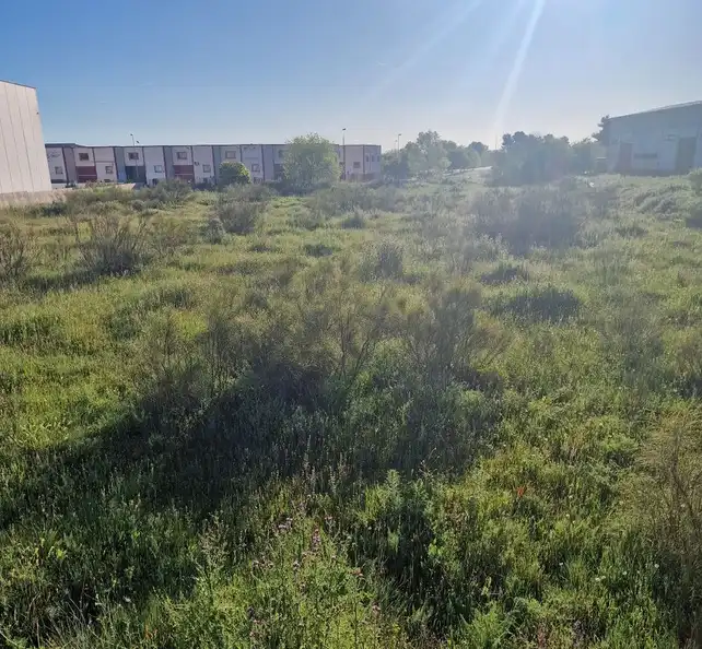 Terreno industrial en venta en Altos del Olivar - El Caracol, imagen 3