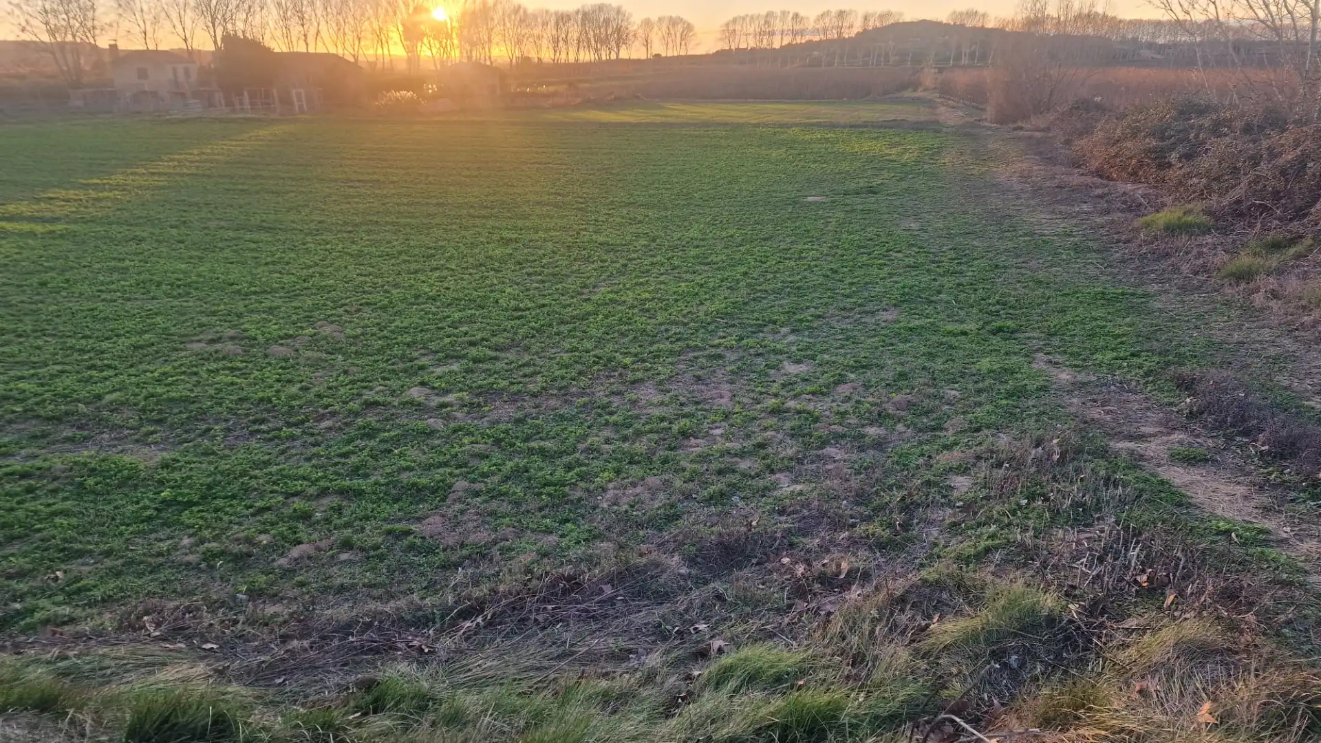 Rural land for sale in Juneda, imagen 6
