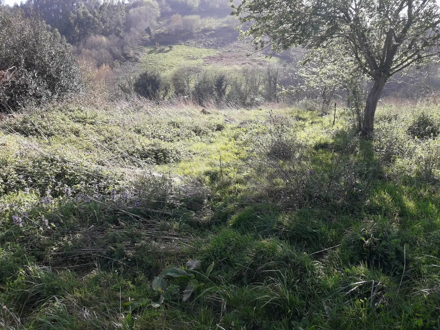 Residencial en venta en Villaviciosa