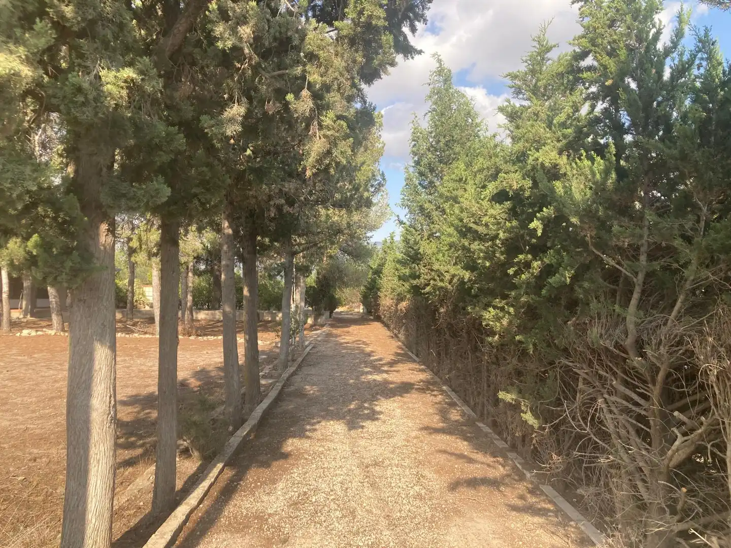 Casa o chalet en venta en Villena con Jardín privado