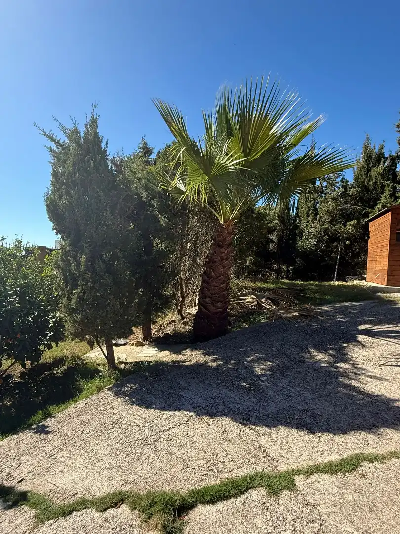 Detached house with pool for sale in Arrabal Sector el Cuartón, imagen 3