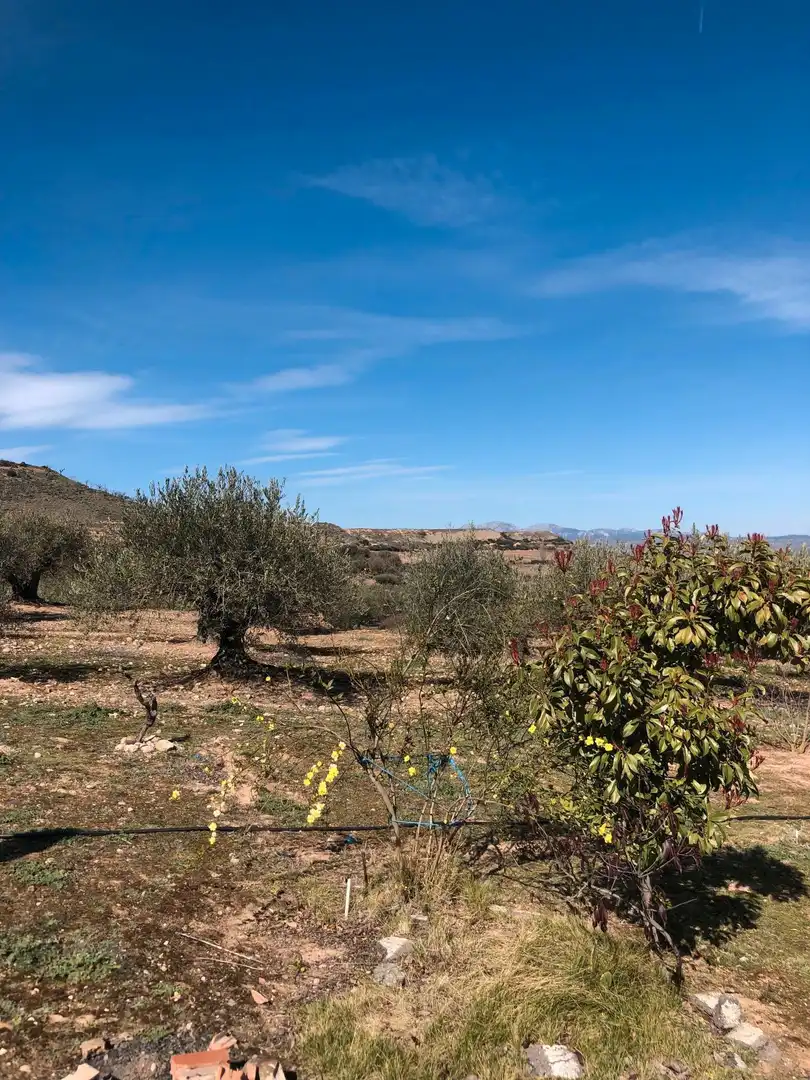 Rustikales Grundstück zum Verkauf in Villamediana de Iregua, imagen 5