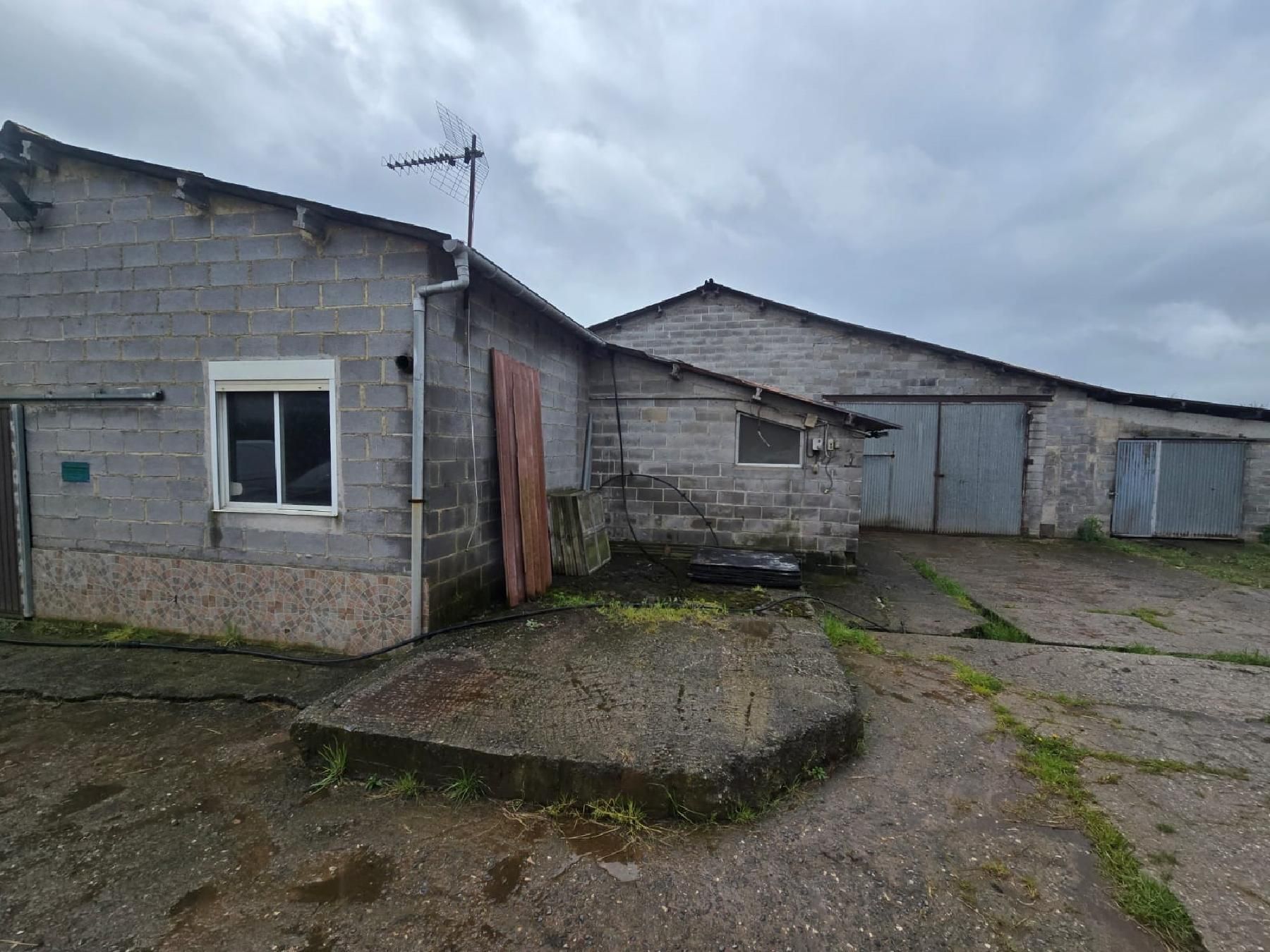 Vista exterior de Nave industrial en venta en Llanera