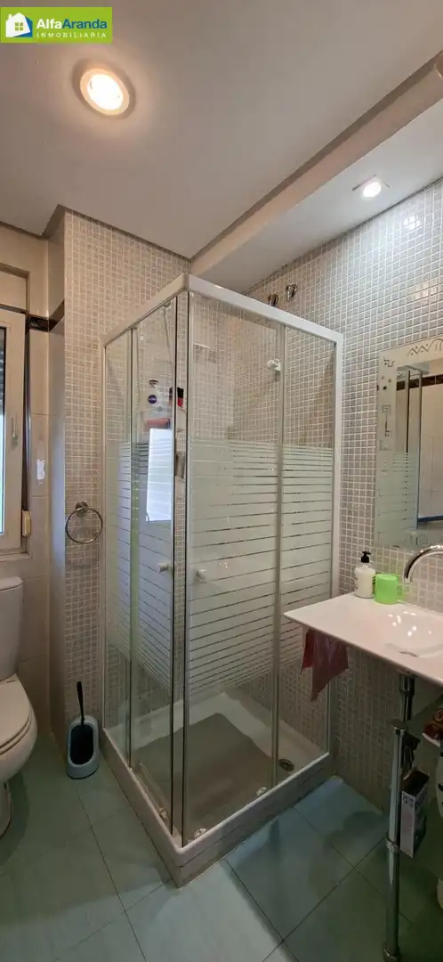 Bany de Casa o xalet en venda en Fuentespina amb Calefacció, Jardí privat i Parquet