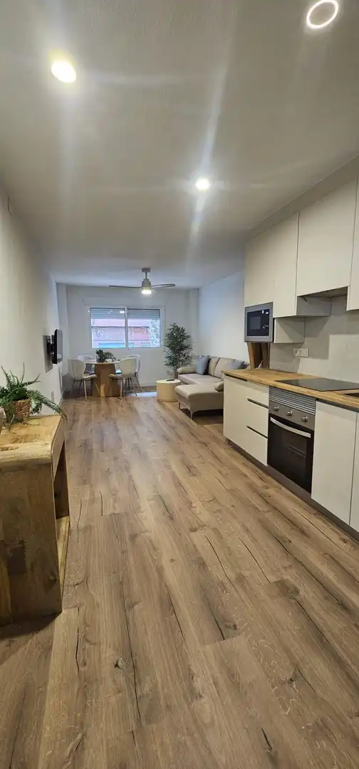 Living room of Flat for rent in Alicante / Alacant  with Furnished