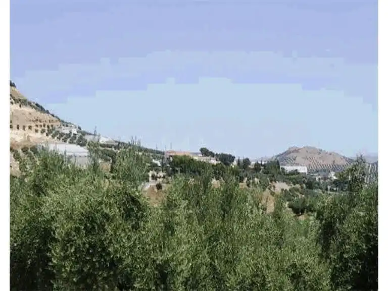 Terreni e lotti in vendita a Alcantarilla - La Glorieta