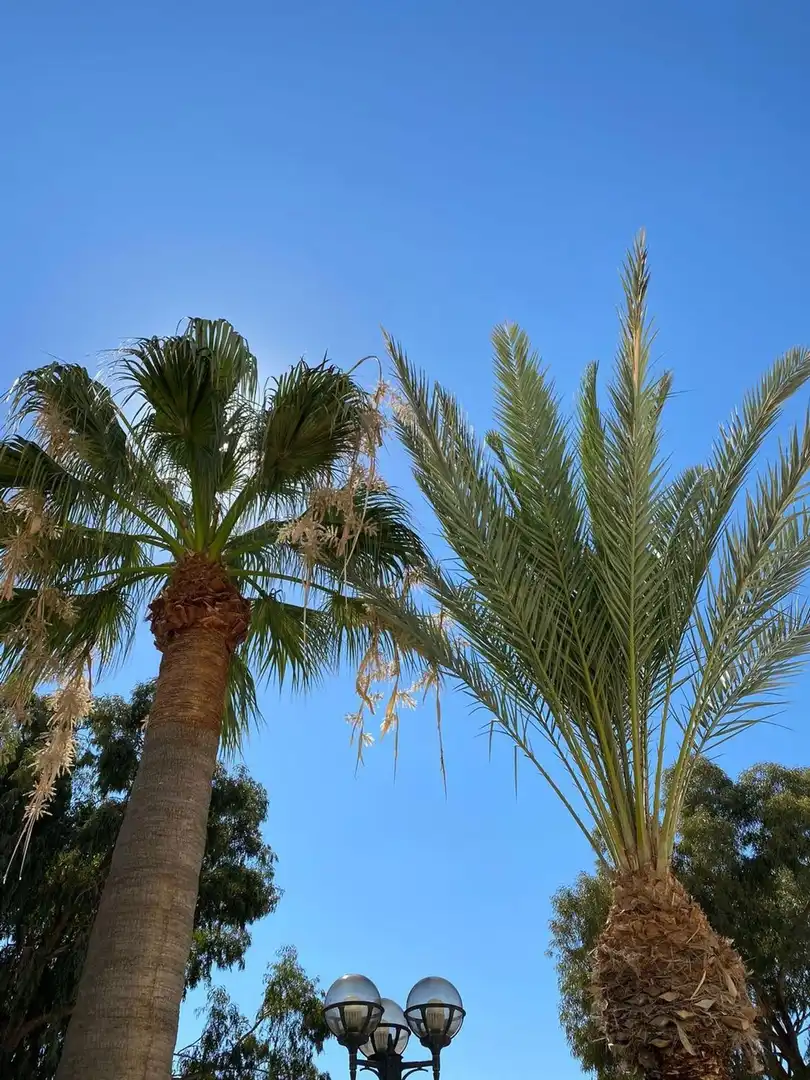 Vista exterior de Ático en venta en Mojácar con Terraza, Piscina y Amueblado
