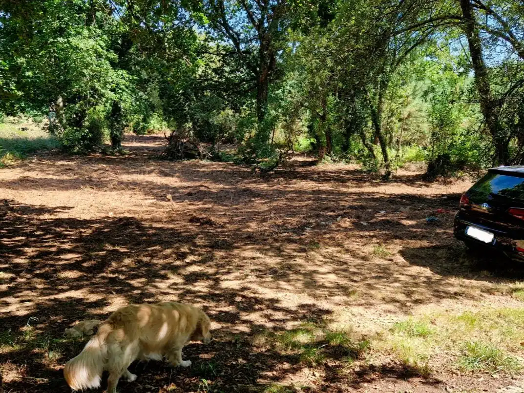 Terreno en venta en Oleiros