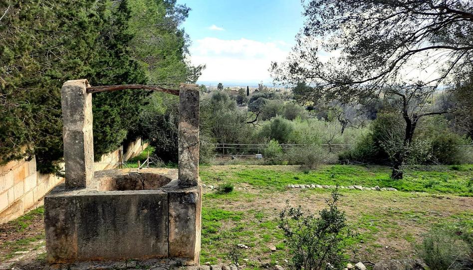 Foto 1 de Finca rústica en venta en Binissalem, Illes Balears