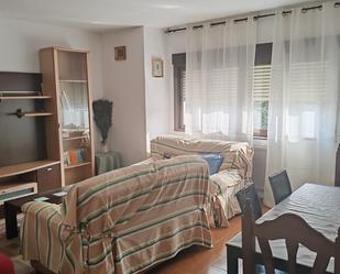 Living room of Flat for sale in Brihuega  with Heating, Terrace and Furnished