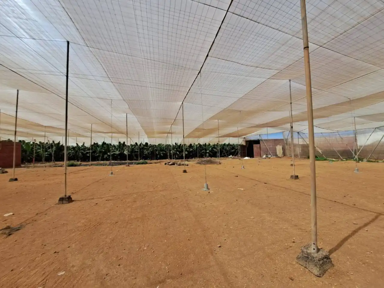 Rural land for sale in Cruce de Arinaga, imagen 21