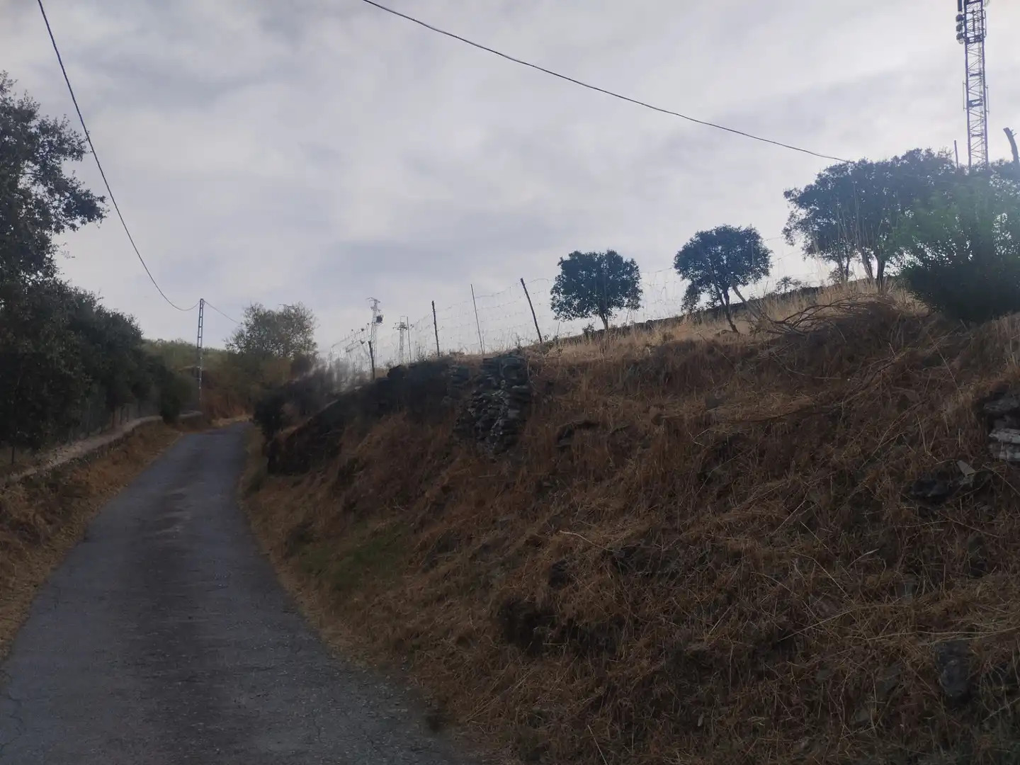 Terreni e lotti in vendita a Jerez de los Caballeros, imagen 20