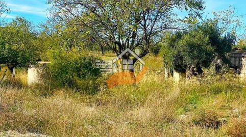 Finca Rúst. en venta en VélezRubio., immagine 4
