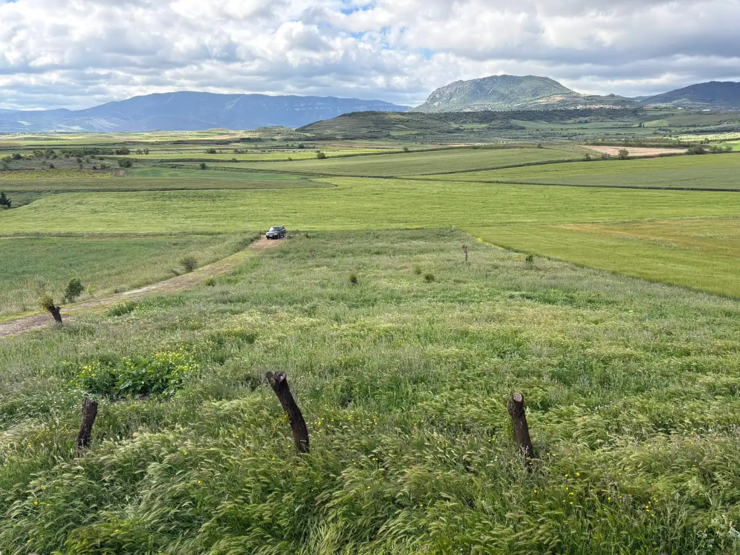 Terrenys i solars en venda a Alberite, imagen 11