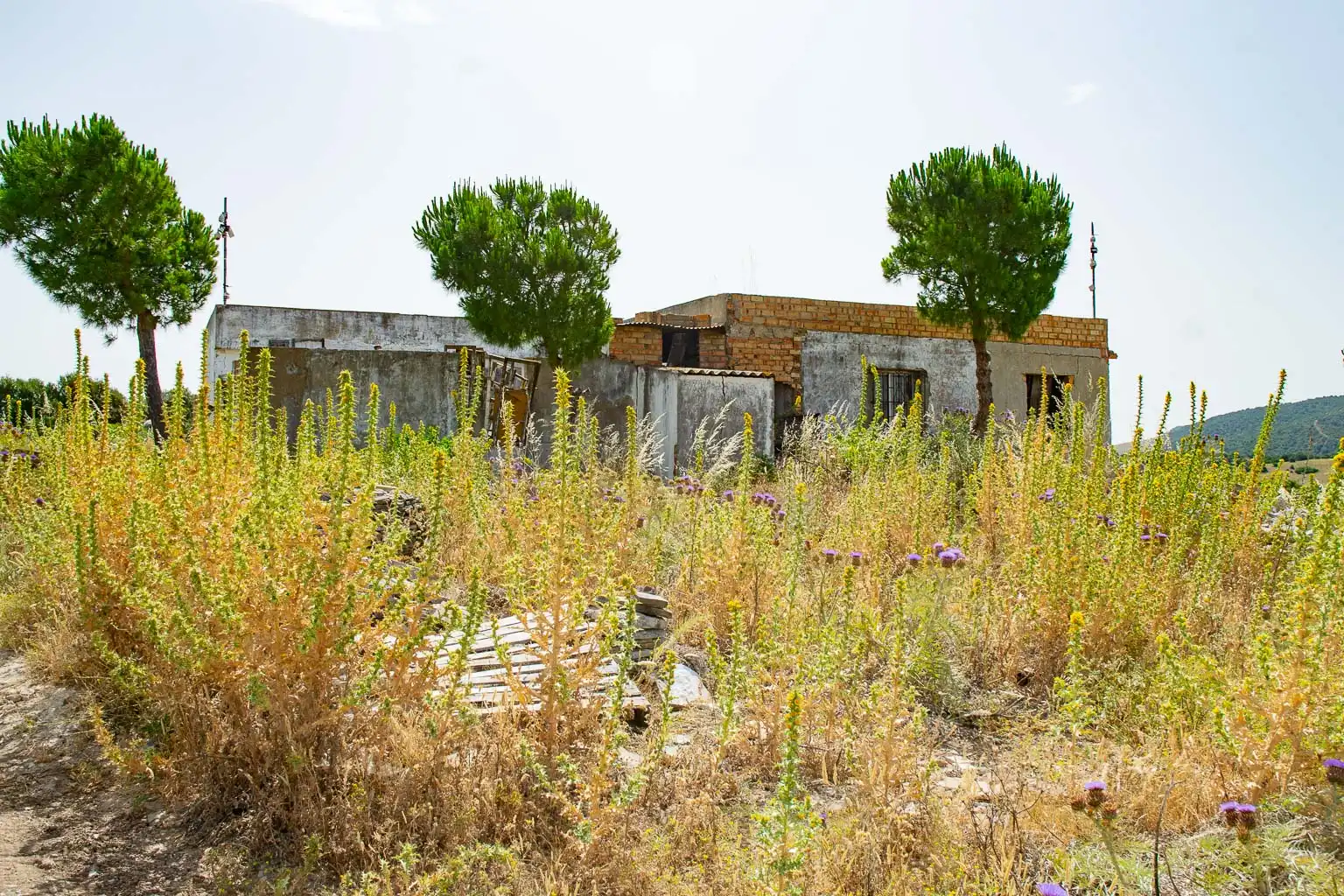 Terreny residencial en venda a Medina Sidonia, imagen 6