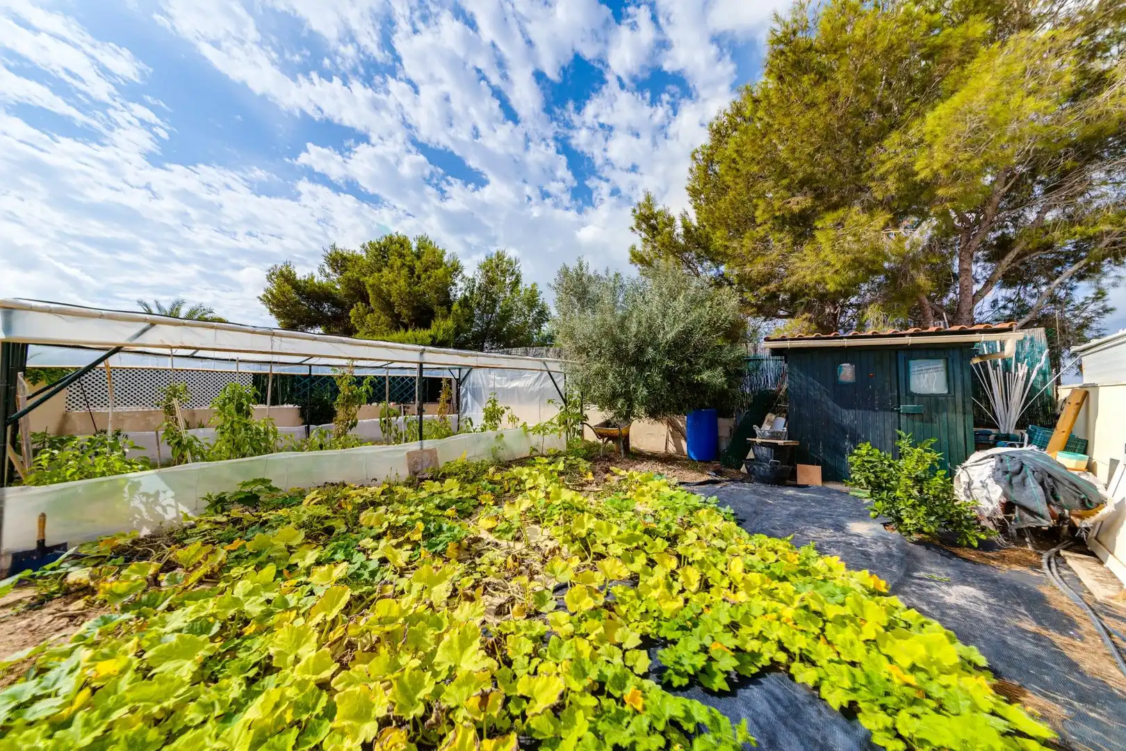 Casa o xalet en venda a Carrer Carrer de la Sierra Morena-las Filipinas, Villamartín - Las Filipinas