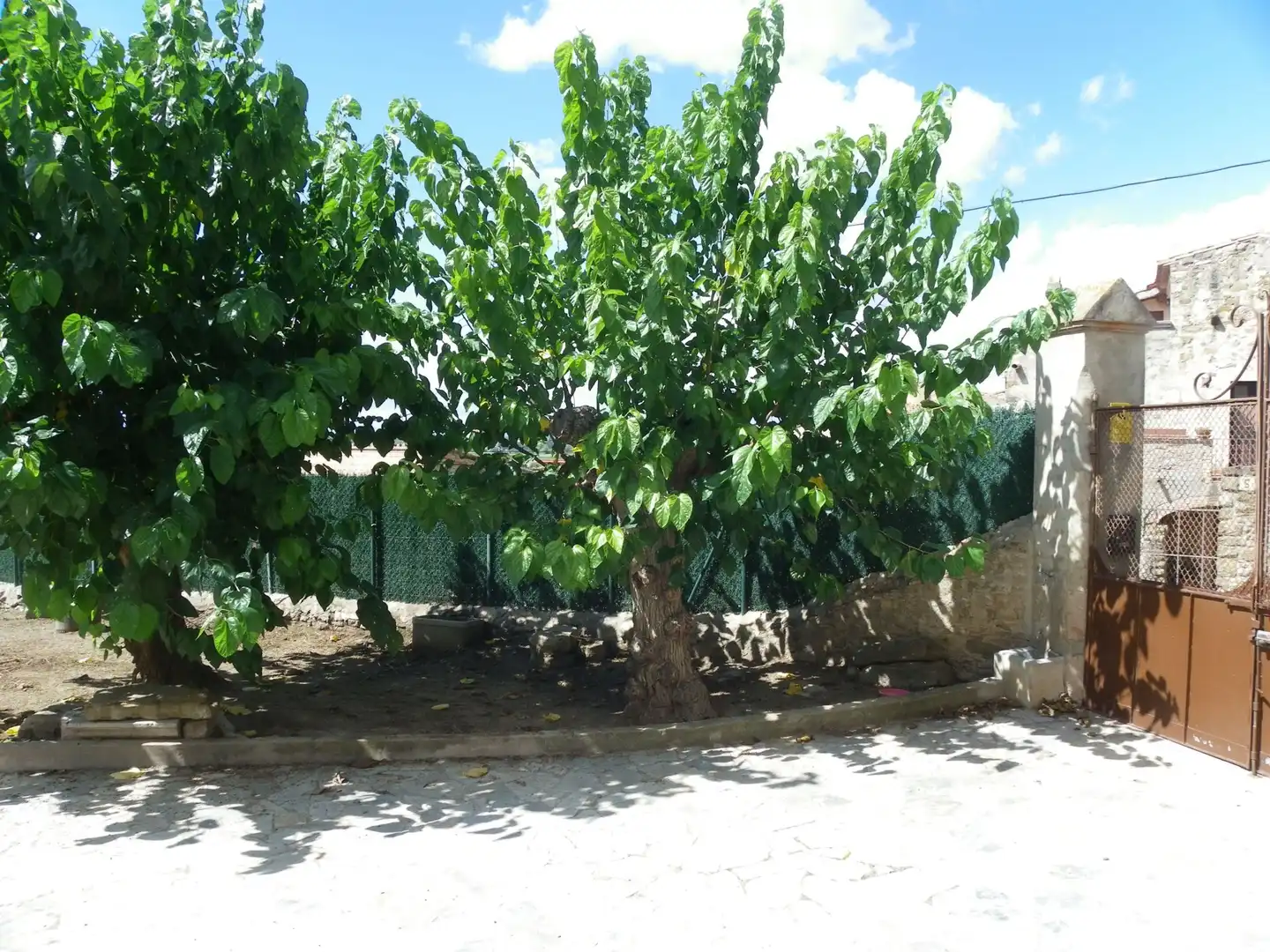Casa rustica in vendita a Jafre, imagen 19
