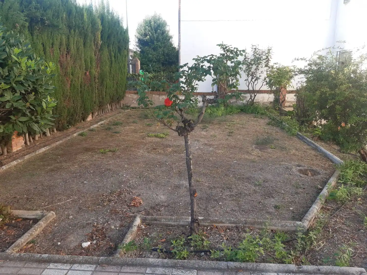 Casa o xalet en venda en Baza amb Terrassa i Balcó