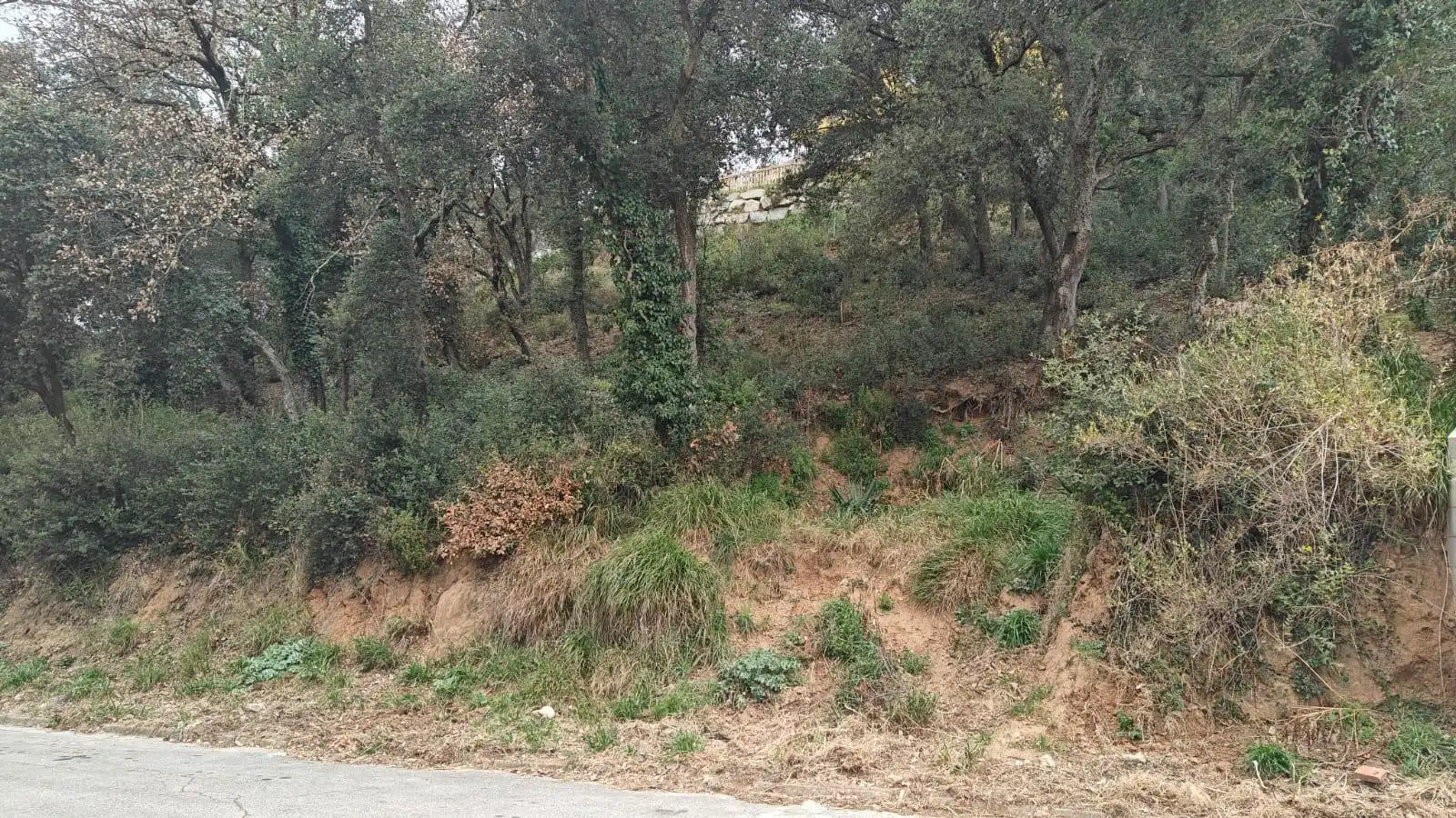 Terrenys i solars en venda a Vallgorguina, imagen 2